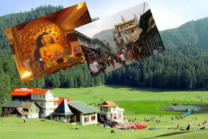 himachal tour