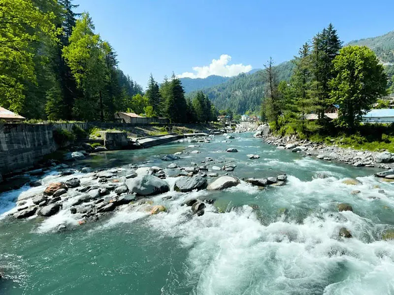 Uhl River rushing over rocky riverbed boulders framed by lush alpine pine trees in Barot Valley