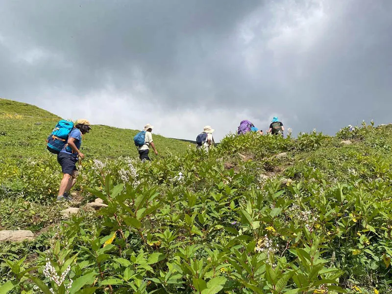 Trekkers hiking uphill through lush green alpine meadows on Bhrigu Lake trail