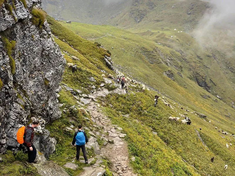 Hikers ascending a narrow rocky mountain ridge on Bhrigu Lake trek