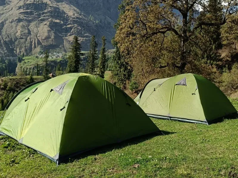 Green dome camping tents pitched on lush alpine grassland bordered by pine forests